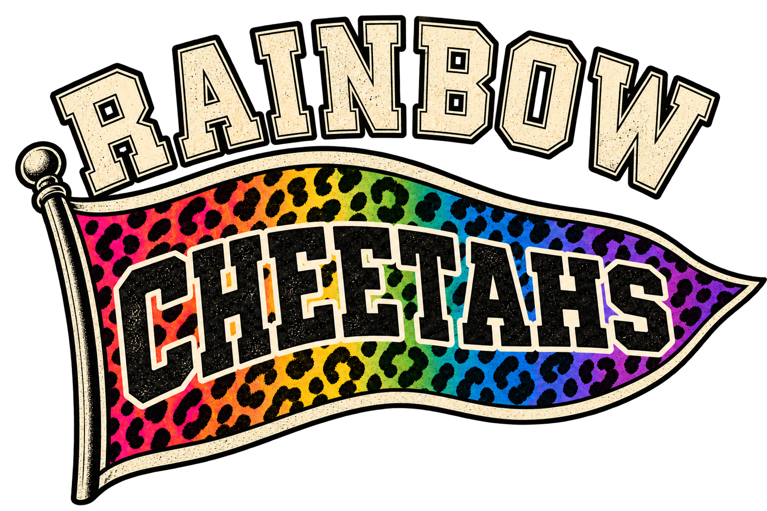 Rainbow Cheetahs logo